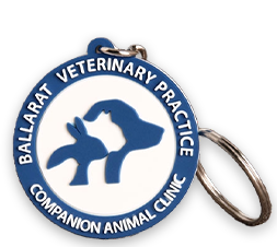 Best Keychain Patches